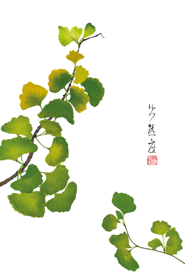 Cartolina 10x15 - Gingko - immagine 2