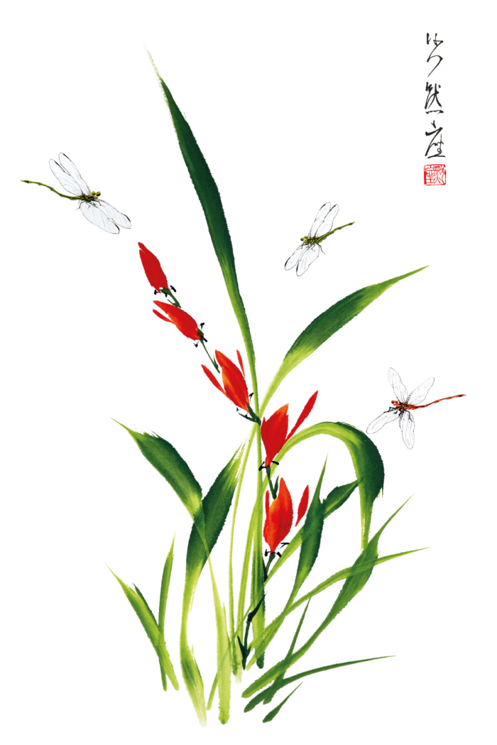 Cartolina 10x15 - Orchidea e libellule - immagine 2