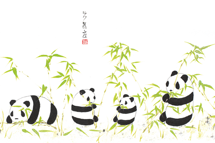 Cartolina 10x15 - Panda - immagine 2